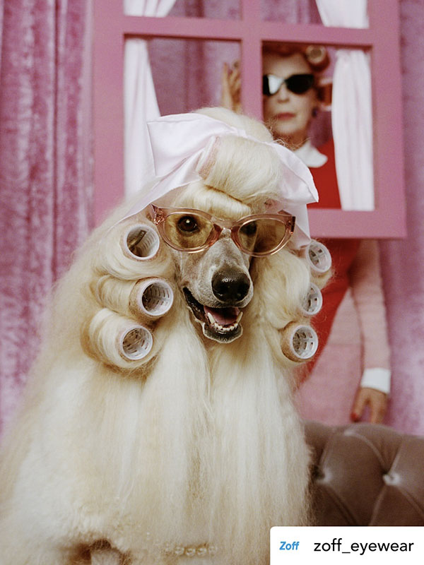 Iris Karina ZOFF commercial