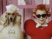 Iris Karina for ZOFF